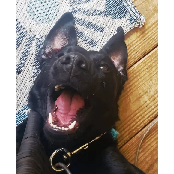 WELCOME ♡ - Picture 5 of 10